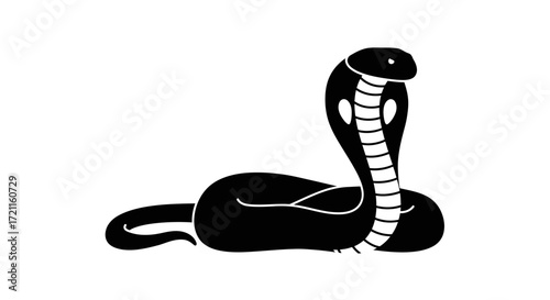 Majestic black cobra snake ready to strike with hood expanded and detailed markings