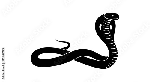 Dramatic black cobra snake rearing up ready to strike iconic reptile wild animal design