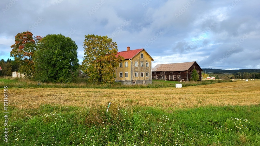 Obraz premium A yellow wooden house stands beside a large barn on a field with ripe crops. Trees show autumn colors under a partly cloudy sky, creating a peaceful rural scene.
