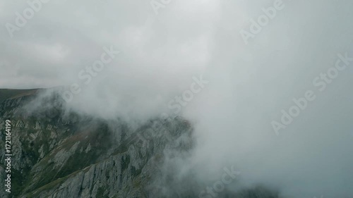 fog in the mist