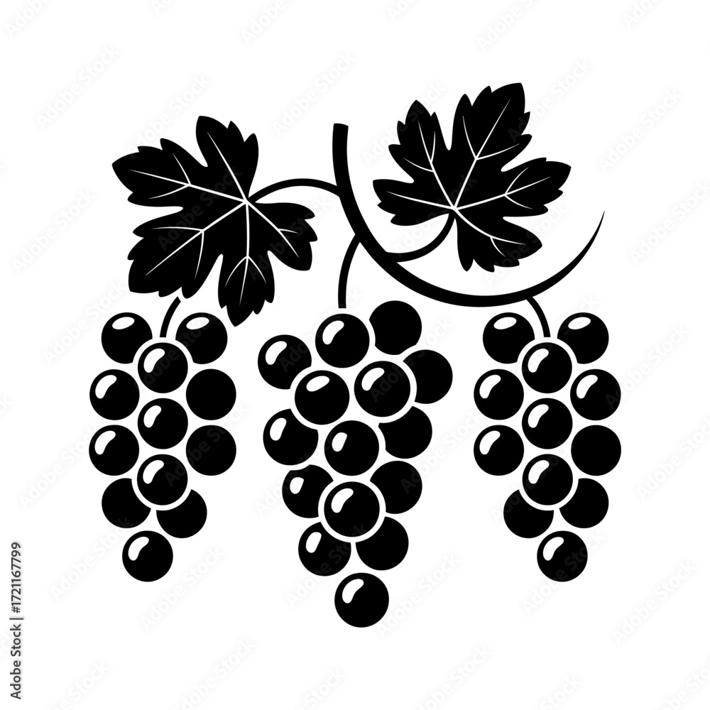 Obraz premium Elegant Grapevine Illustration with Leaves and Berries for Wine and Food Industry Designs and Artistic Projects Creates a Vintage and Sophisticated Feel
