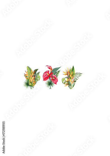 Tropical floral arrangements with red anthurium, strelitzia.ai