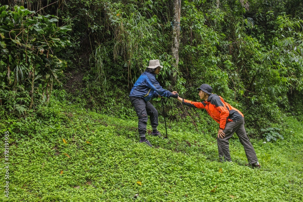 Obraz premium Two Hikers Helping Each Other On Lush Green Trail