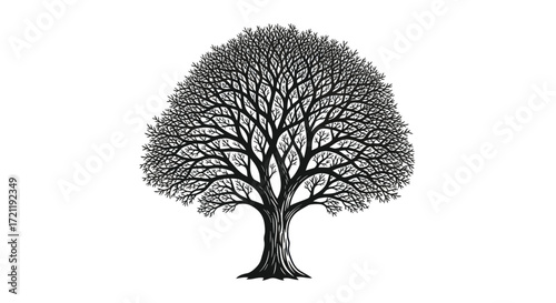 Detailed vector illustration of a deciduous tree with intricate branching on a clear background
