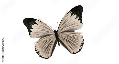 Metamorphosis of knowledge: A conceptual depiction of a butterfly with book page wings