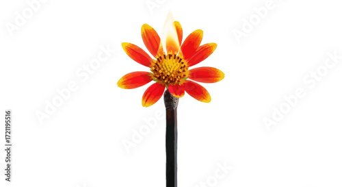 The fiery bloom matchstick art symbolizes fragility and transformative power unique botanical
