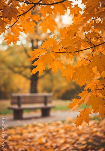 秋の公園ベンチ紅葉風景写真
