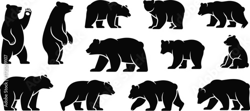 Bear silhouette icons, wildlife animal poses, black and white design, walking and sitting figures, nature behavior vector, forest creature graphic, mammal illustration set