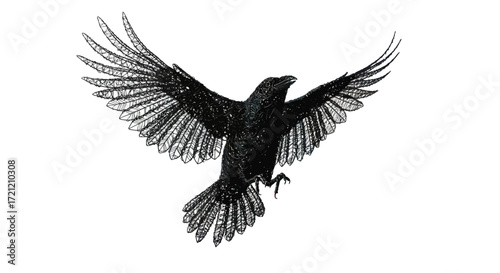 Majestic raven soars, wings outstretched against a stark white backdrop showing freedom and artistry