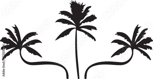 palm tree silhouette
