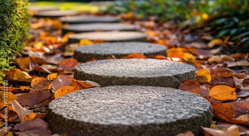Pathway Lined With Stone Steps Surrounded by Autumn Leaves in a Serene Garden