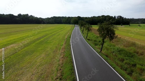 road in the countryside with green fields