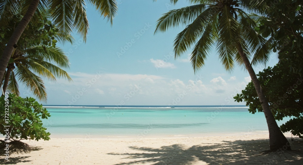 Fototapeta premium Tranquil beach scene with palm trees and turquoise water.