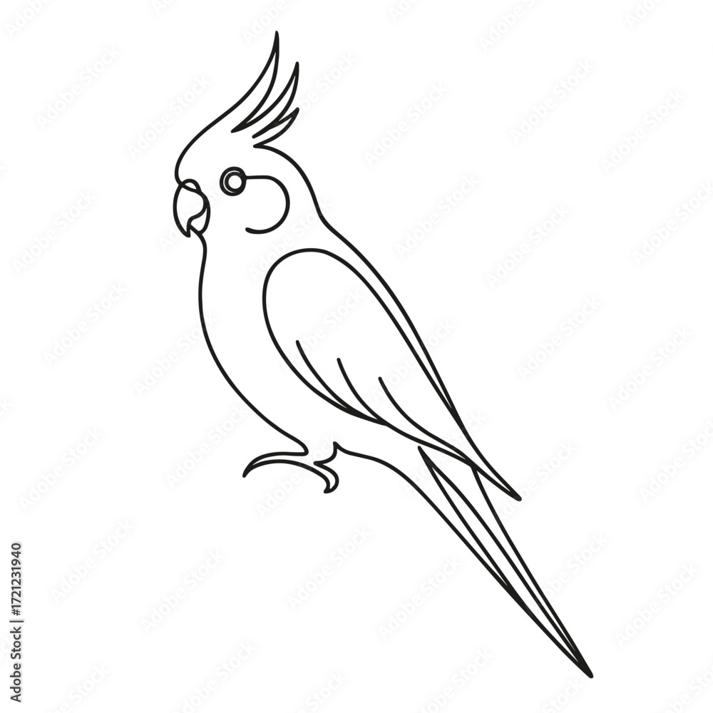 Fototapeta premium Outline of a cockatiel bird in simple artistic style on transparent background 