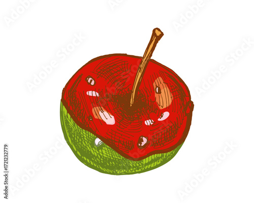 Hand drawn vintage sketch of caramel coated apple with glossy red glaze and wooden stick in retro style
