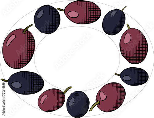 Olive black berry Oval template. Vector graphic line ink colored illustration. Fruitless rosemary, bay leaf circle frame for card, food cosmetic label Isolated line art from background