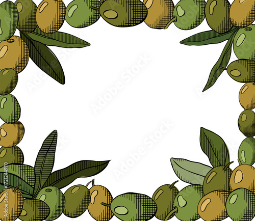 Olives background. Olive green berry and leaves rectangle frame template. Vector graphic line ink colored illustration. Mediterranean food menu design in pastel colors.