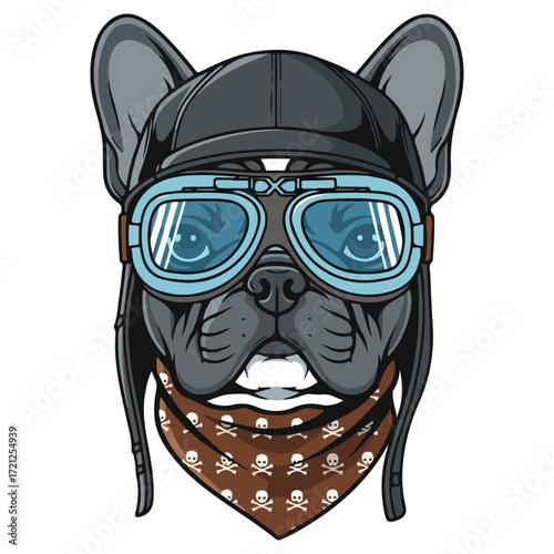 French Bulldog Wearing Aviator Goggles and Scarf.