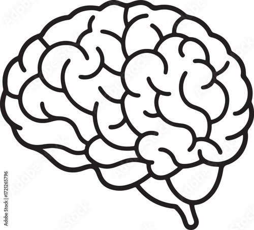 human brain line art, coloring book page line art drawing, vector and illustration