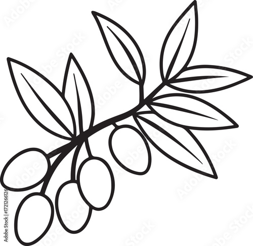 olives and leaves line art, coloring book page line art drawing, vector and illustration