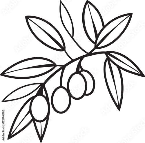 olives and leaves line art, coloring book page line art drawing, vector and illustration