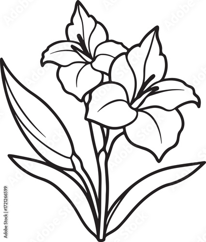 gladiolus flower line art, coloring book page line art drawing, vector and illustration