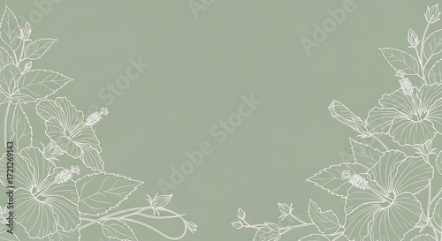 Floral Hibiscus Wallpaper Background with Delicate White Outlines on Sage Green