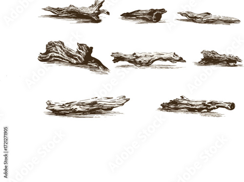 Dried fish isolated on white background healthy organic closeup