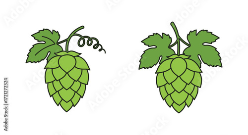 Two green hop flowers with stems and leaves are clearly depicted