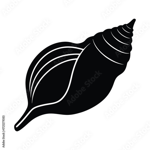 vector illustration of a pear whelk shell