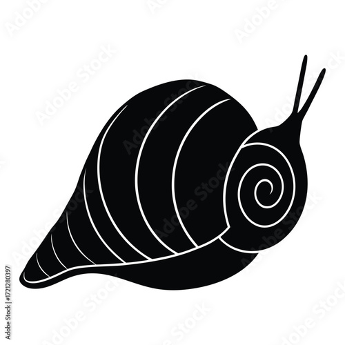 Rock snail shell isolated on white background