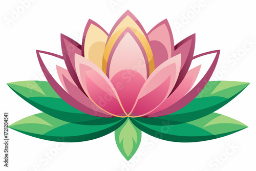pink lotus flower