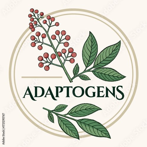 Adaptogens logo illustration with red berries and leaves on beige background in vintage style