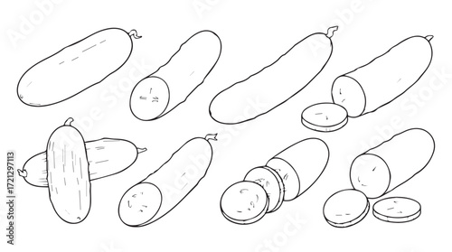 Set of fresh cucumbers whole sliced and halved detailed sketch style drawing silhouette