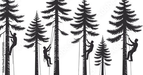 Forest guardians silhouettes, tree climbers on ropes, arborists in pine forest, outdoor workers, nature conservation, tree maintenance, climbing professionals, vector illustration, silhouette art