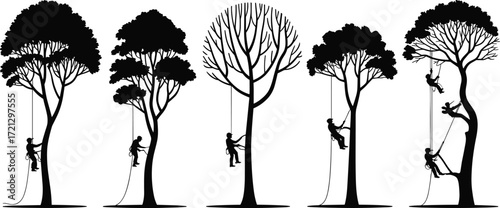 Tree climber silhouettes, arborist workers on ropes, climbing trees, outdoor work, forest maintenance, safety gear, nature care, tree trimming, silhouette art, vector illustration