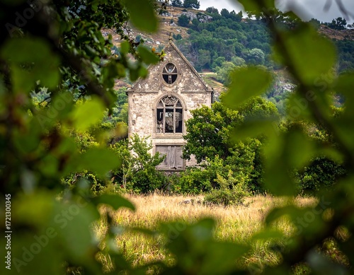 Abandoned stone building framed by foliage