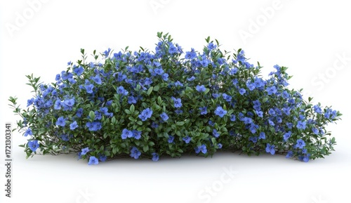 Vibrant Blue Flowers Blooming Beautifully in Natural Garden Setting