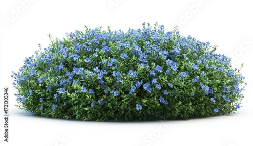 Abundant Blue Flowers on Lush Green Foliage in Bright Background