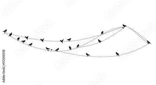 Abstract flight path of birds connected by dotted lines graphic