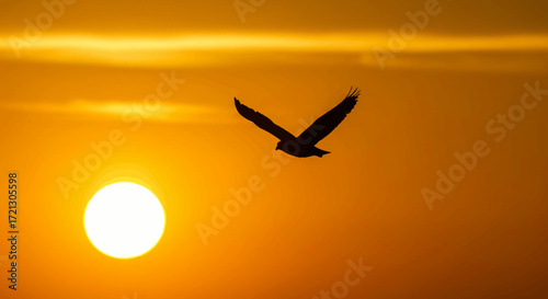 Majestic Owl Soaring Against a Brilliant Golden Sunset Sky