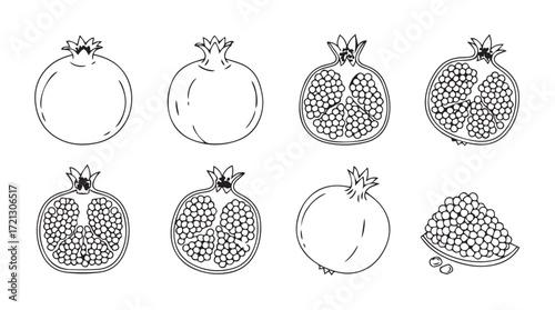 Hand drawn pomegranate collection whole halves and seeds for healthy food design silhouette