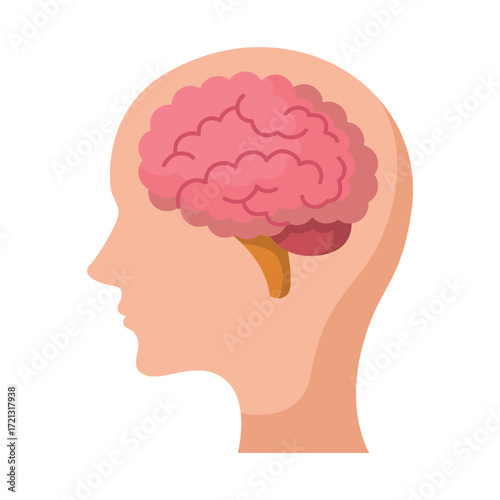 A profile of a human head with a pink brain inside