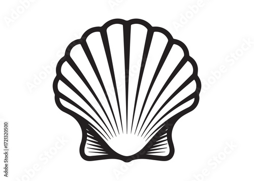 Shell line art Vector