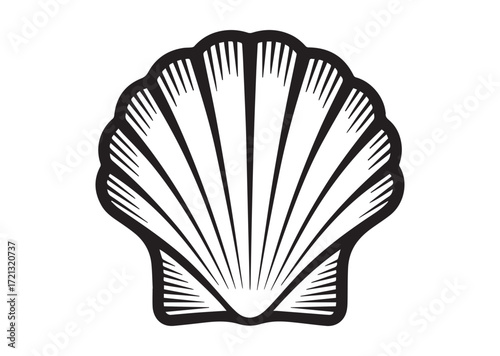 Shell line art Vector