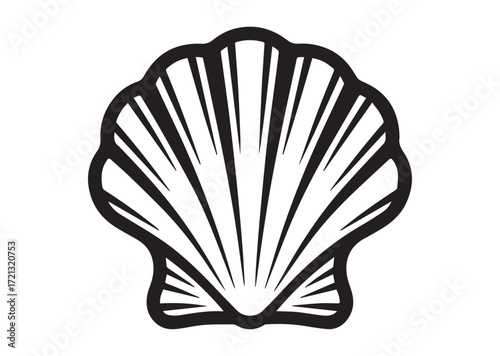 Shell line art Vector