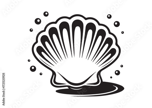 Shell line art Vector