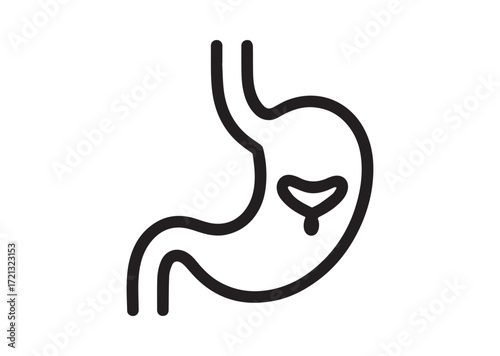 Stomach line art Vector