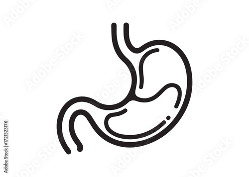 Stomach line art Vector