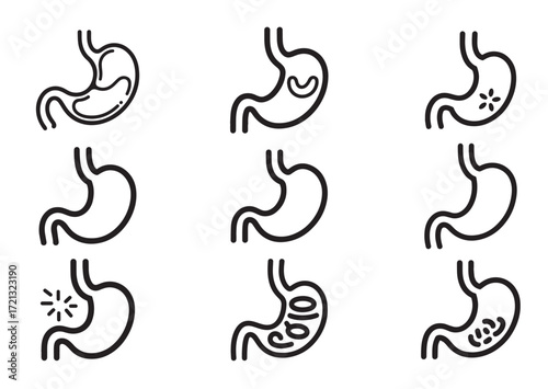 Stomach line art Vector